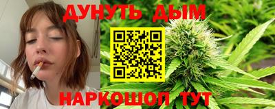 крисы Лесосибирск