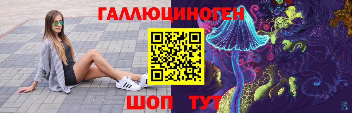 Галлюциногенные грибы Psilocybe Знаменск